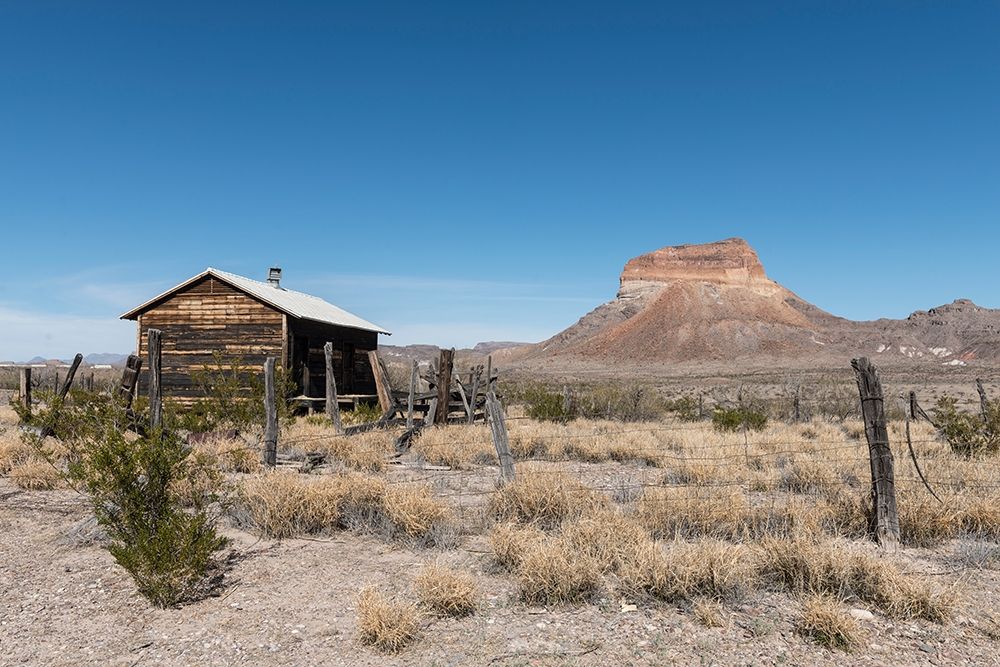 Scenery in Big Bend National Park, TX art print by Carol Highmith for $57.95 CAD