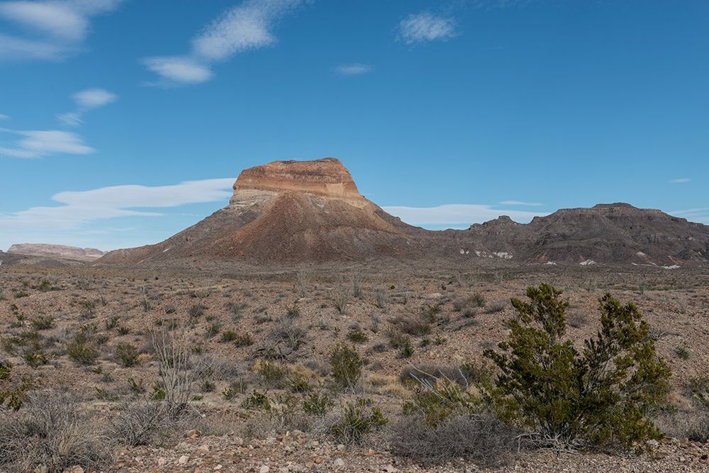 Scenery in Big Bend National Park, TX art print by Carol Highmith for $57.95 CAD