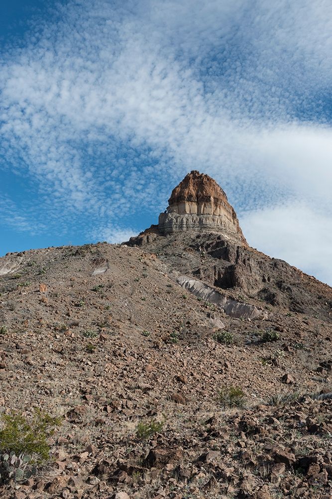 Scenery in Big Bend National Park, TX art print by Carol Highmith for $57.95 CAD