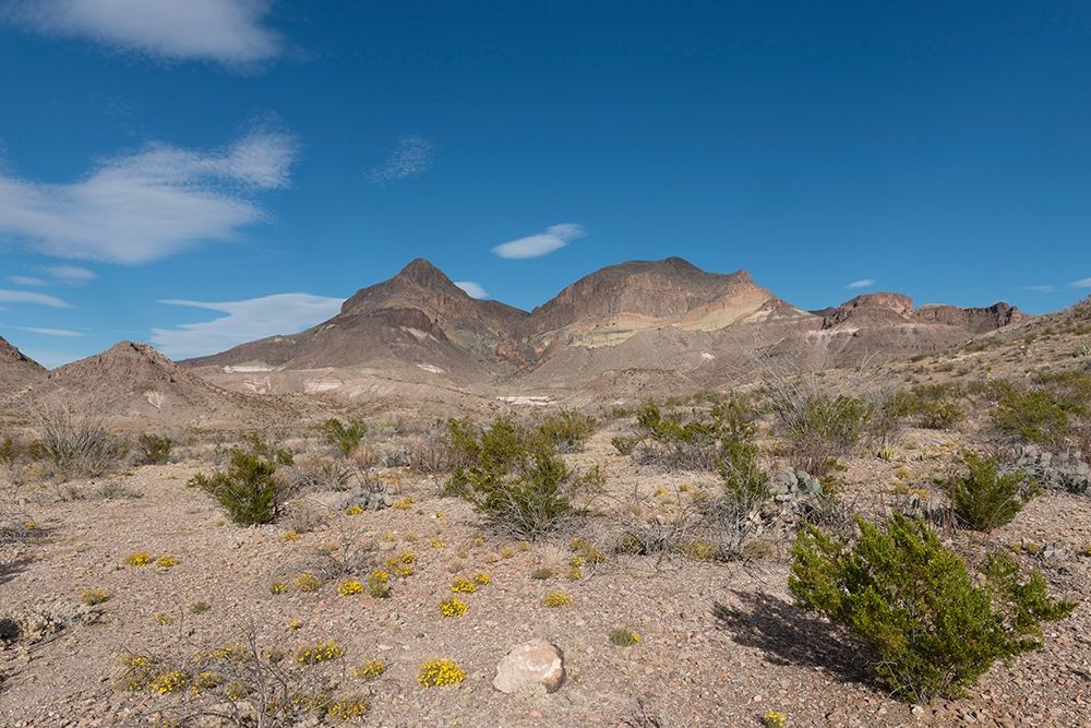 Scenery in Big Bend National Park, TX art print by Carol Highmith for $57.95 CAD