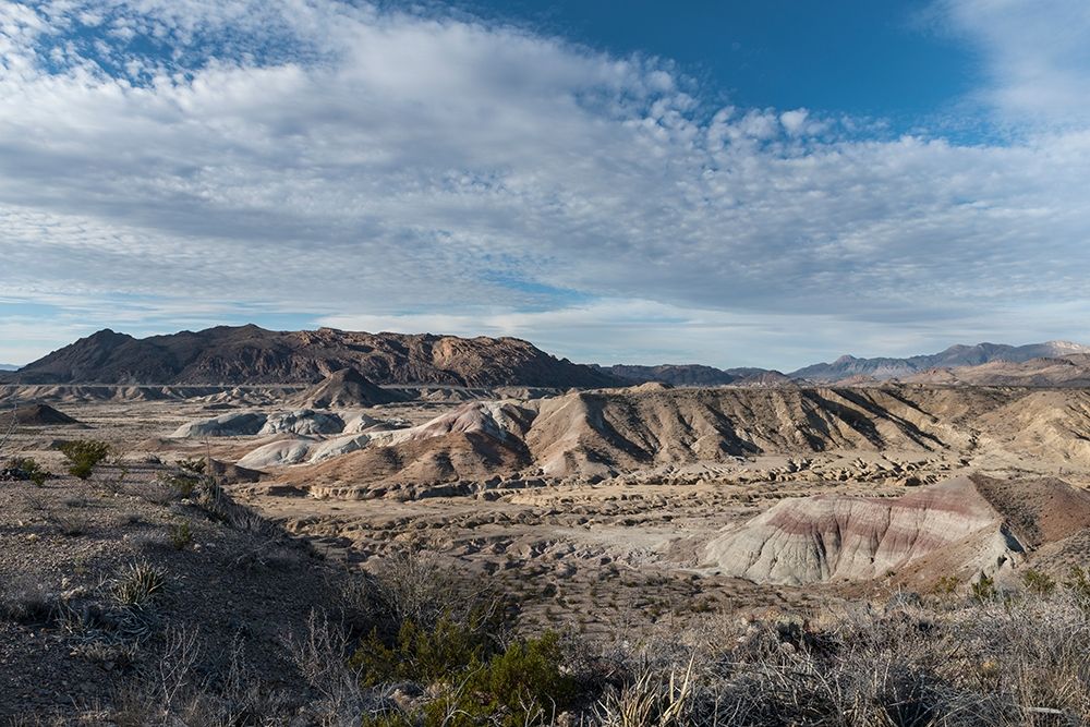 Scenery in Big Bend National Park, TX art print by Carol Highmith for $57.95 CAD