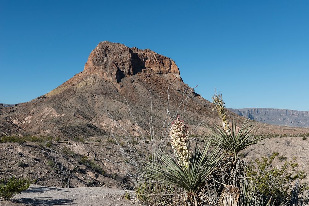 Scene from Big Bend National Park in Brewster County, TX art print by Carol Highmith for $57.95 CAD