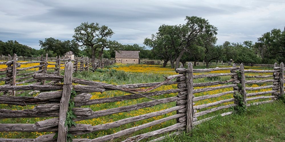 Vivid field of wildflowers in the Lyndon B. Johnson National Historical Park in Johnson City, TX art print by Carol Highmith for $57.95 CAD