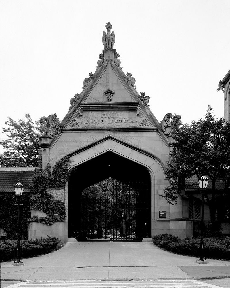Entry gate to the University of Chicago Illinois art print by Carol Highsmith for $57.95 CAD