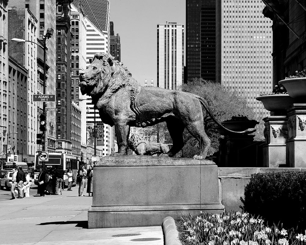Edward Kemeys guardian lions stand before the Art Institute of Chicago Illinois art print by Carol Highsmith for $57.95 CAD