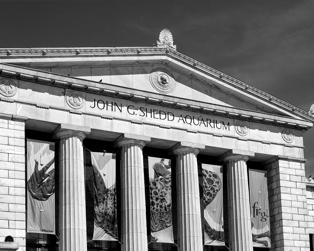 Shedd Aquarium Chicago Illinois art print by Carol Highsmith for $57.95 CAD