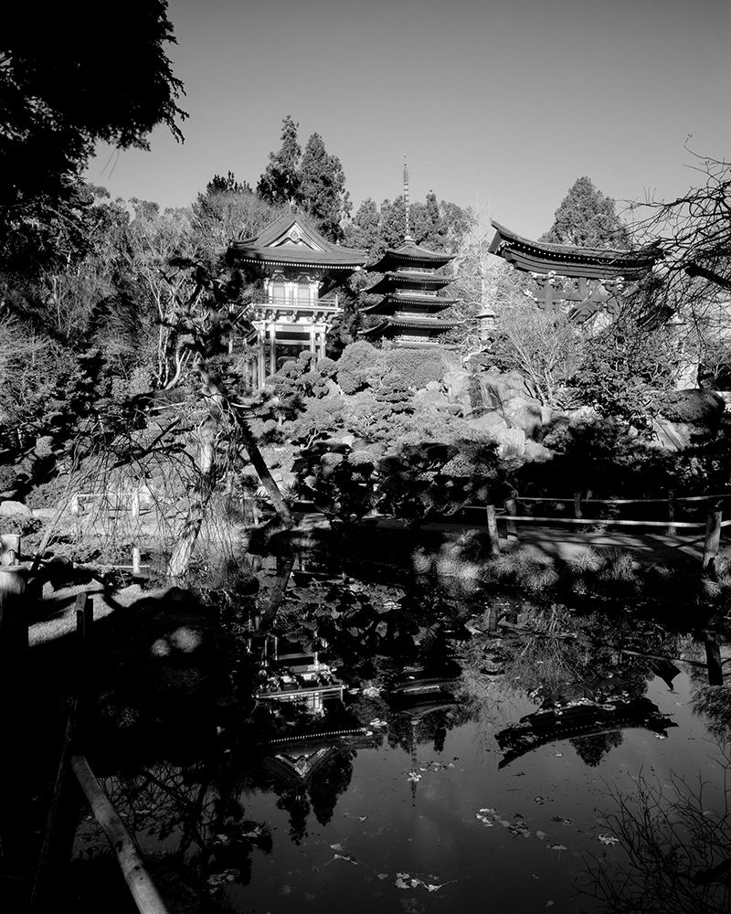 Japanese Tea Garden at Golden Gate Park San Francisco California art print by Carol Highsmith for $57.95 CAD