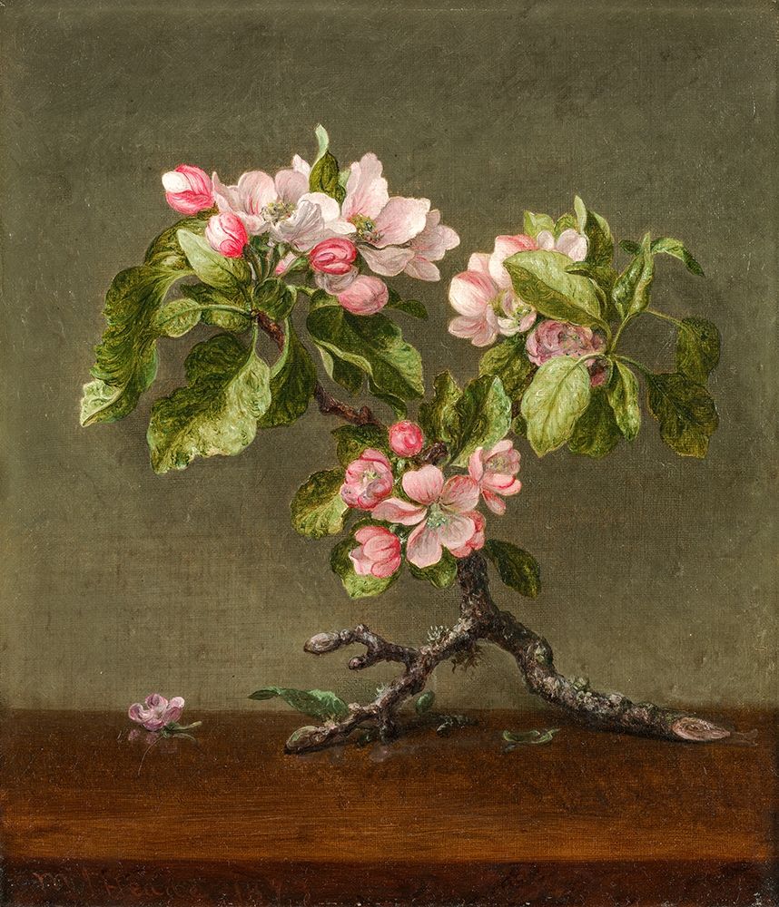 Apple Blossoms art print by Martin Johnson Heade for $57.95 CAD