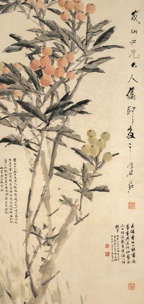 Pipa Loquats art print by Xugu for $57.95 CAD