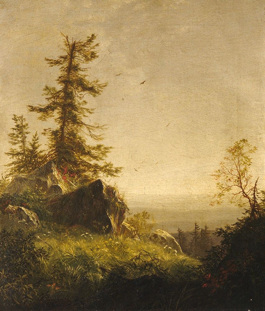 Morning on the Mountain 1856 art print by Richard William Hubbard for $57.95 CAD