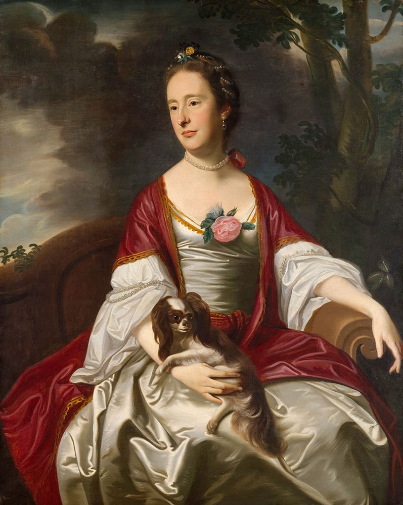 Mrs Jerathmael Bowers ca 1763 art print by John Singleton Copley for $57.95 CAD
