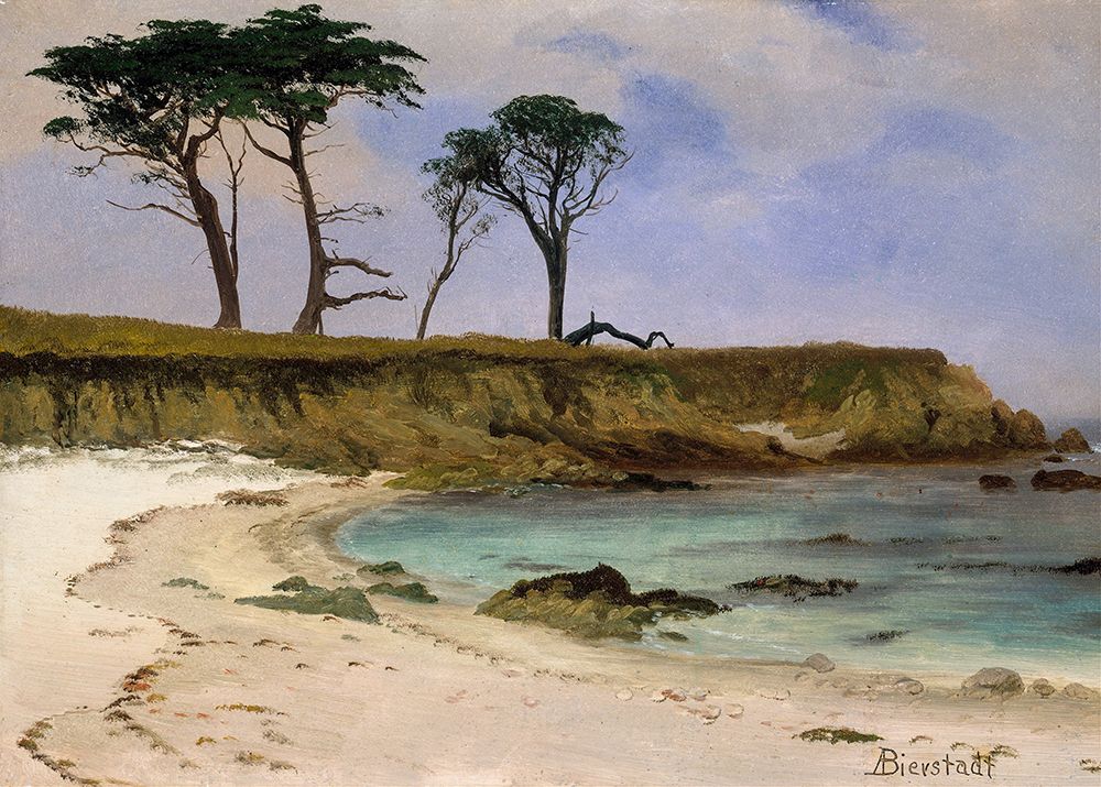 Sea Cove 1880 art print by Albert Bierstadt for $57.95 CAD