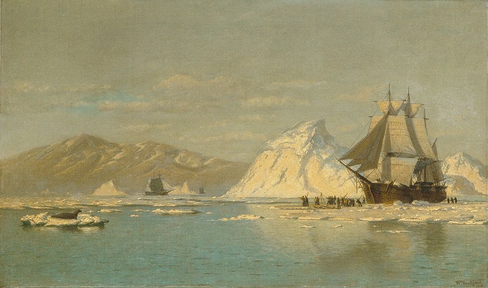Off Greenlandâ€”Whaler Seeking Open Water art print by William Bradford for $57.95 CAD