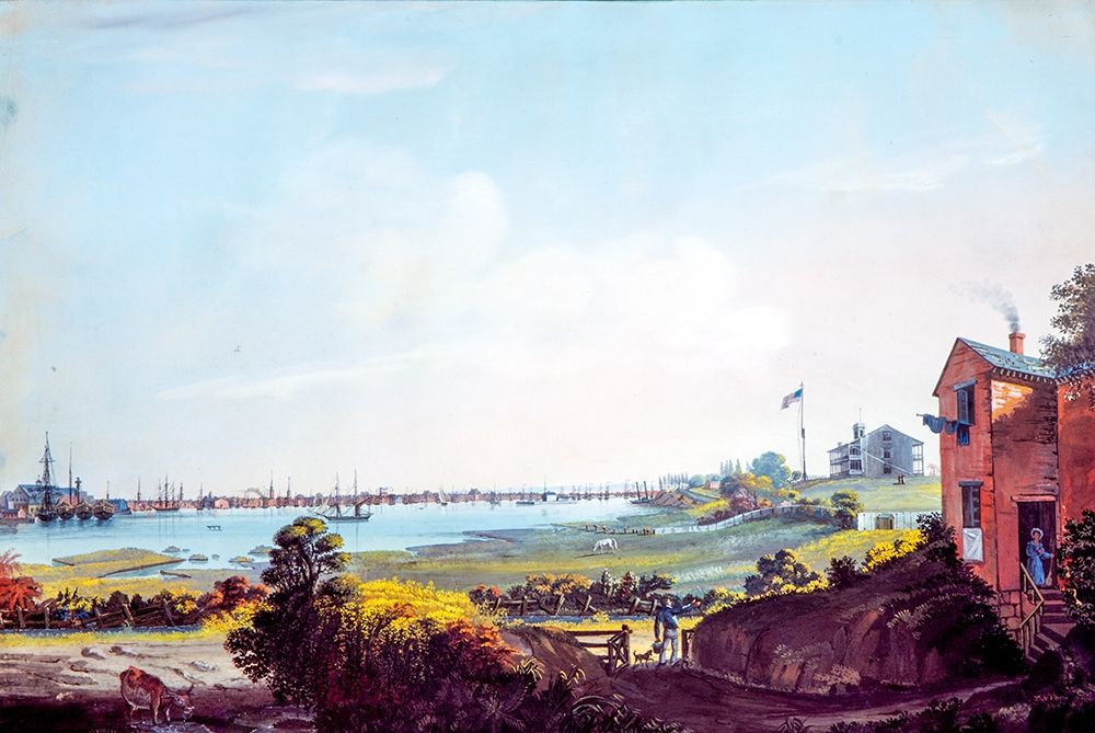 View of the City of New York and the Marine Hospital Taken from Wallabout art print by Nicolino Calyo for $57.95 CAD
