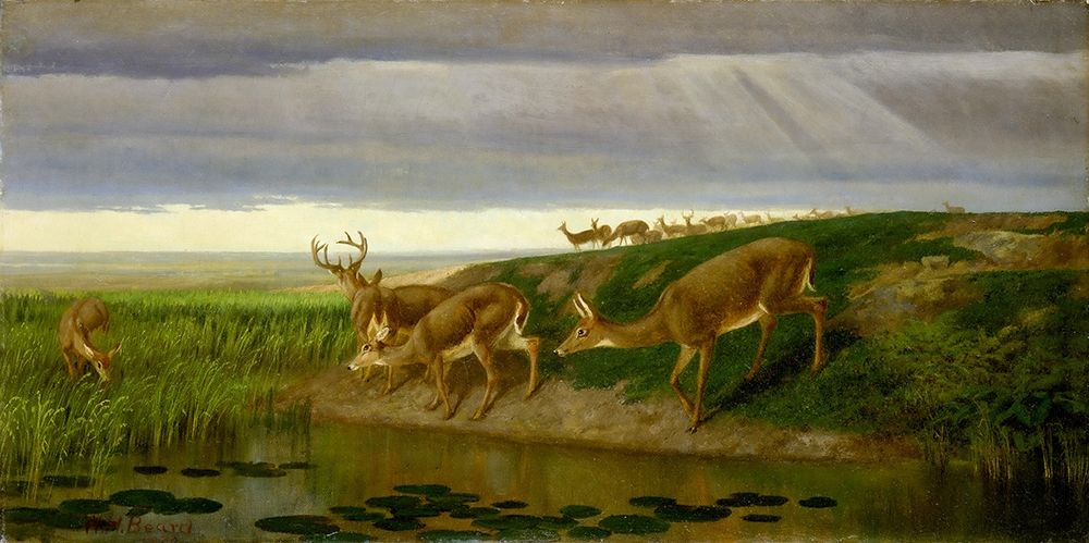 Deer on the Prairie art print by William Holbrook Beard for $57.95 CAD