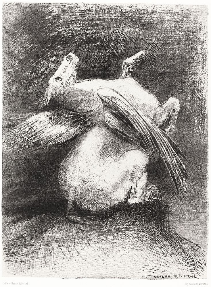 The Impotent Wing Did Not Lift the Animal Into That Black Space art print by Odilon Redon for $57.95 CAD