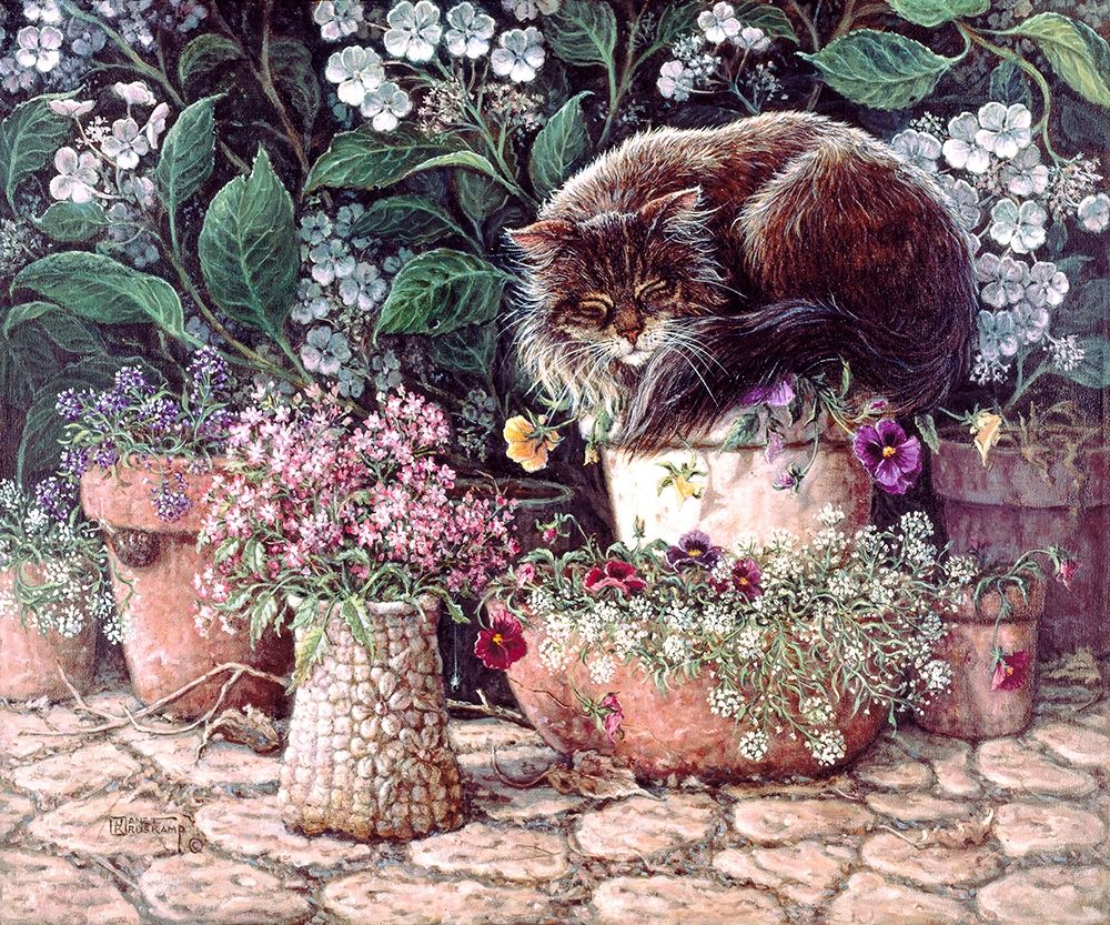 Pansy Sleeping in the Sun art print by Janet Kruskamp for $57.95 CAD
