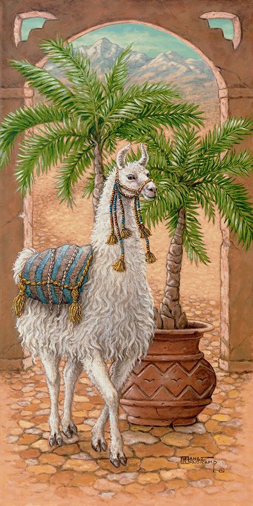 White Llama I art print by Janet Kruskamp for $57.95 CAD