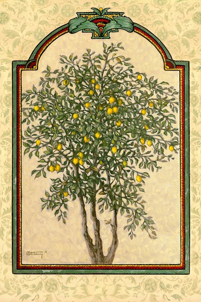 Classical Lemon art print by Janet Kruskamp for $57.95 CAD