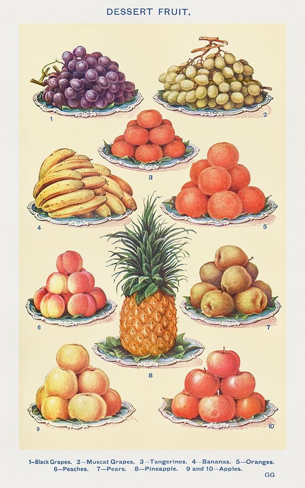 Dessert Fruit art print by Mrs. Beetons Book of Household Management for $57.95 CAD