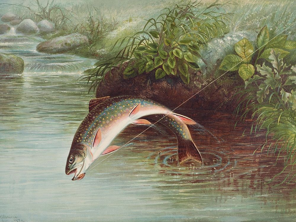 Leaping Brook Trout art print by Samuel Kilbourne for $57.95 CAD