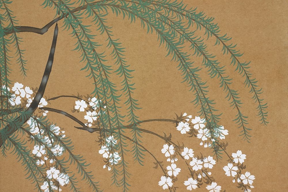 Blossoms from Momoyogusa art print by Kamisaka Sekka for $57.95 CAD