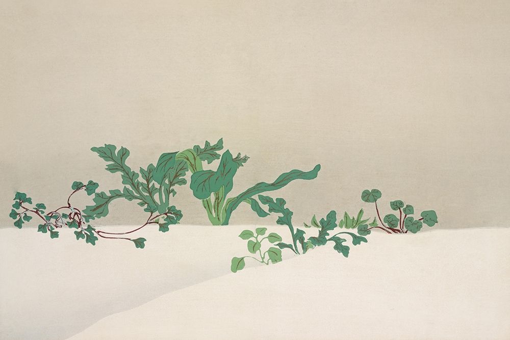 Green plants from Momoyogusa art print by Kamisaka Sekka for $57.95 CAD