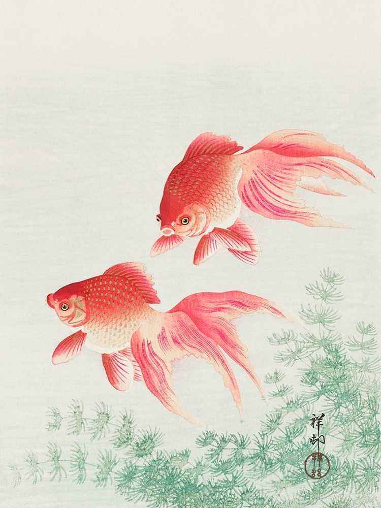 Two veil goldfish art print by Ohara Koson for $57.95 CAD