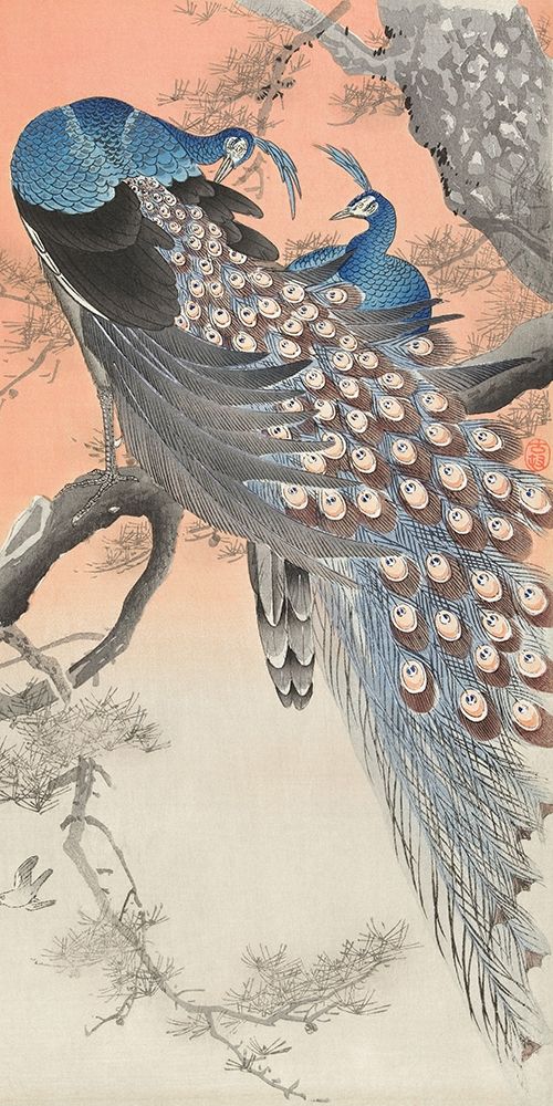 Two peacocks on tree branch art print by Ohara Koson for $57.95 CAD