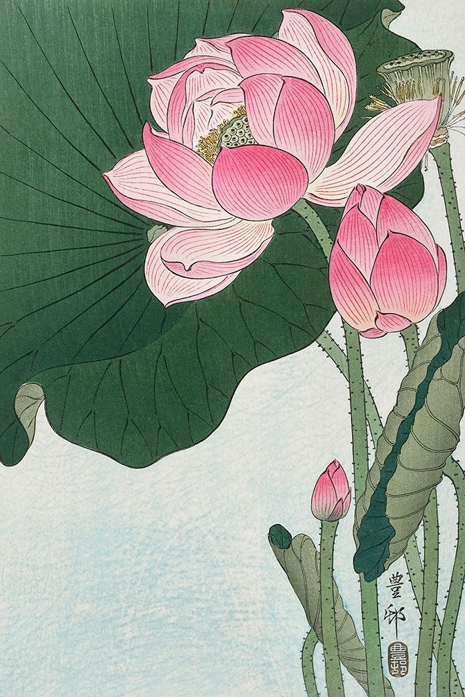 Blooming lotus flowers art print by Ohara Koson for $57.95 CAD
