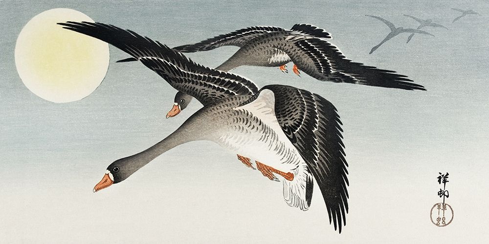Birds at full moon art print by Ohara Koson for $57.95 CAD