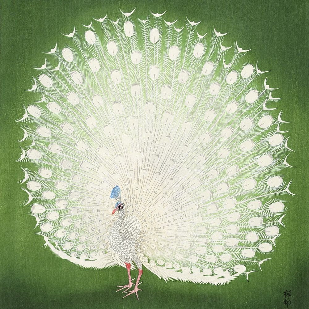 Peacock art print by Ohara Koson for $57.95 CAD