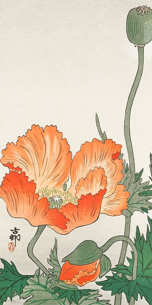 Orange Poppy art print by Ohara Koson for $57.95 CAD