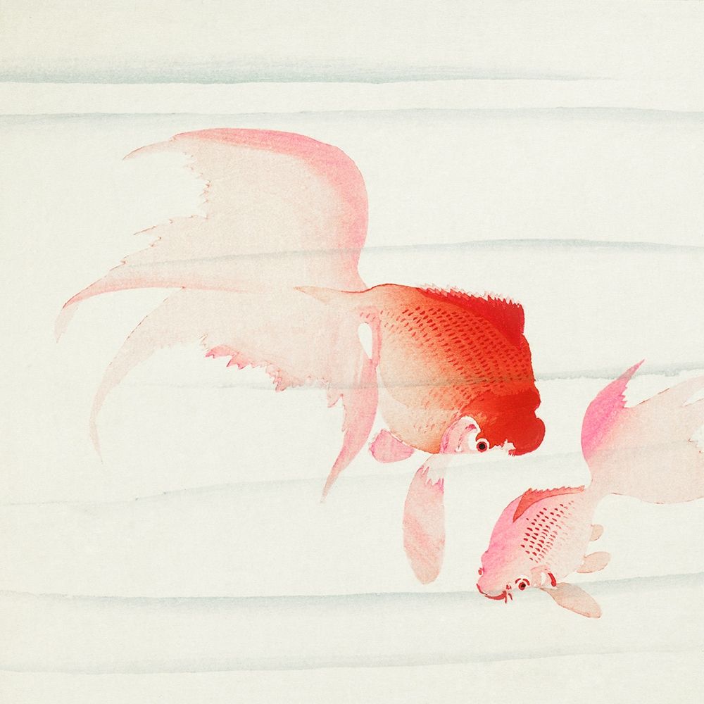 Gold fish art print by Ohara Koson for $57.95 CAD