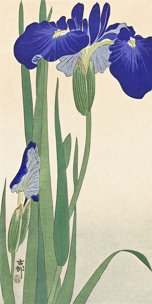 Blue Irises art print by Ohara Koson for $57.95 CAD