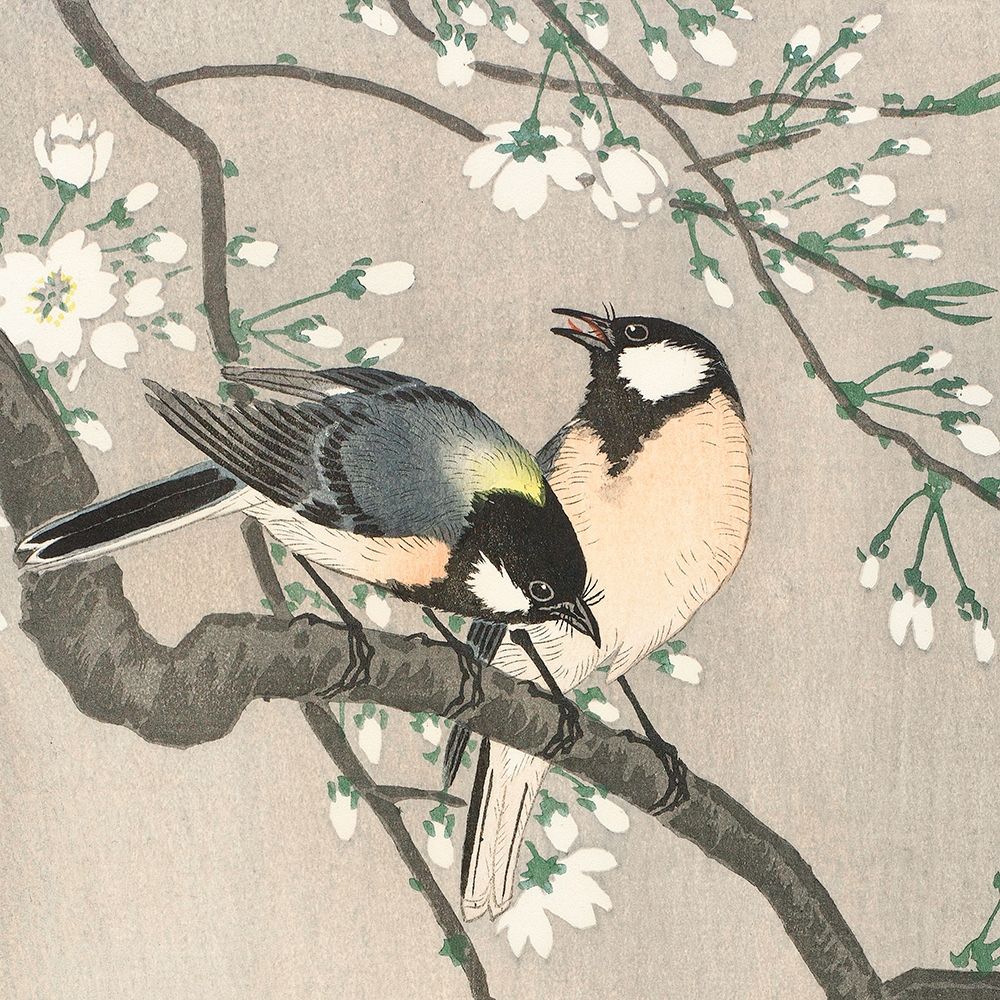 Tits on Cherry Branch art print by Ohara Koson for $57.95 CAD