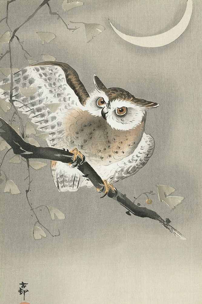 Long-eared owl in ginkgo art print by Ohara Koson for $57.95 CAD