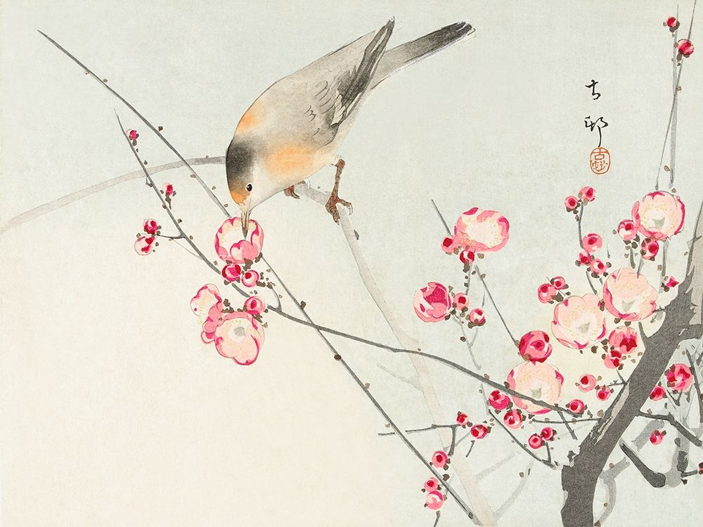 Songbird on blossom branch art print by Ohara Koson for $57.95 CAD