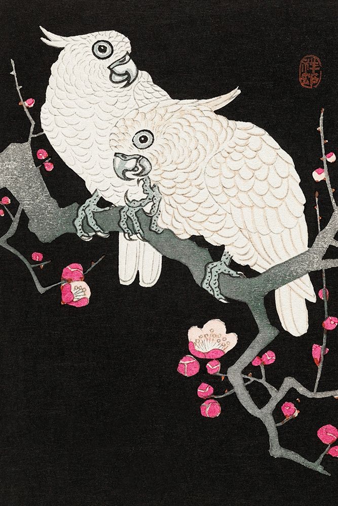 Two cockatoo and plum blossom art print by Ohara Koson for $57.95 CAD