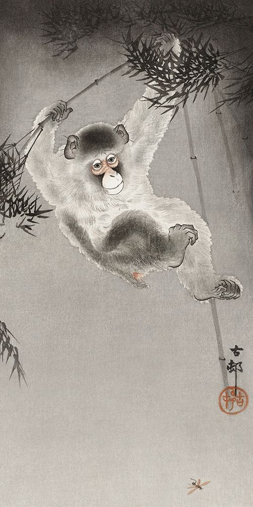 Monkey, hanging from bamboo branch art print by Ohara Koson for $57.95 CAD
