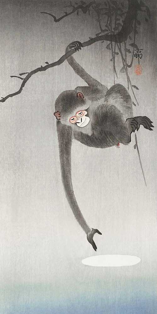 Monkey and reflection of the moon art print by Ohara Koson for $57.95 CAD