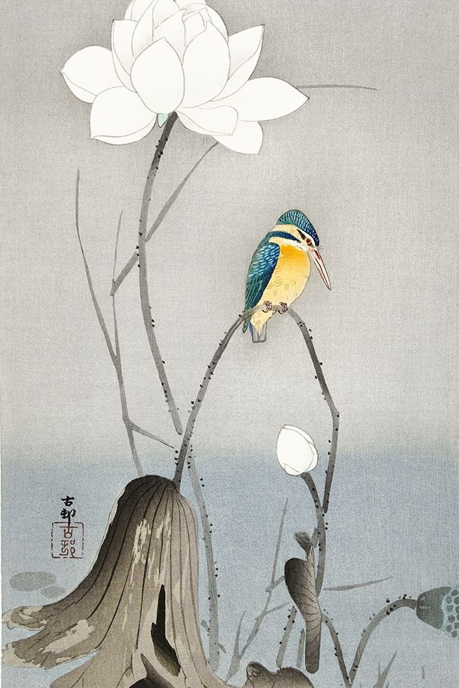 Kingfisher with Lotus Flower art print by Ohara Koson for $57.95 CAD