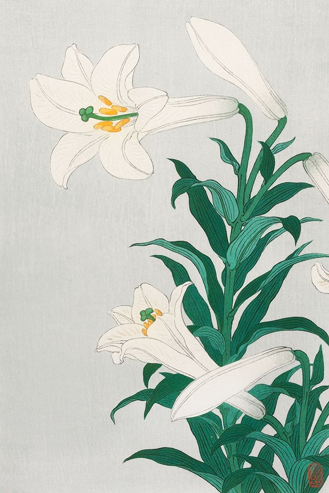 Lilies, Ohara art print by Ohara Koson for $57.95 CAD