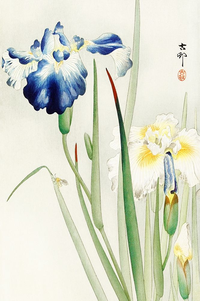 Irises art print by Ohara Koson for $57.95 CAD