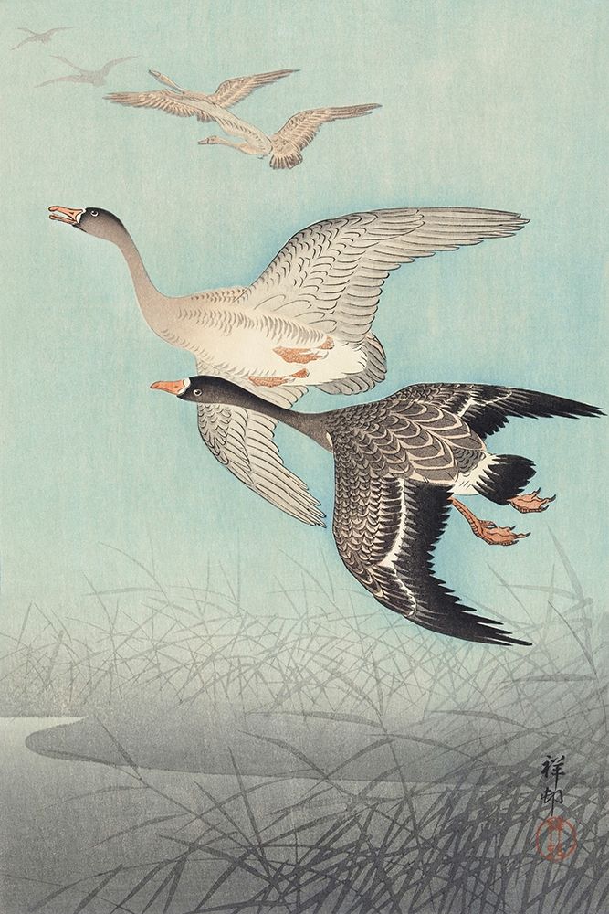 Great geese in flight art print by Ohara Koson for $57.95 CAD