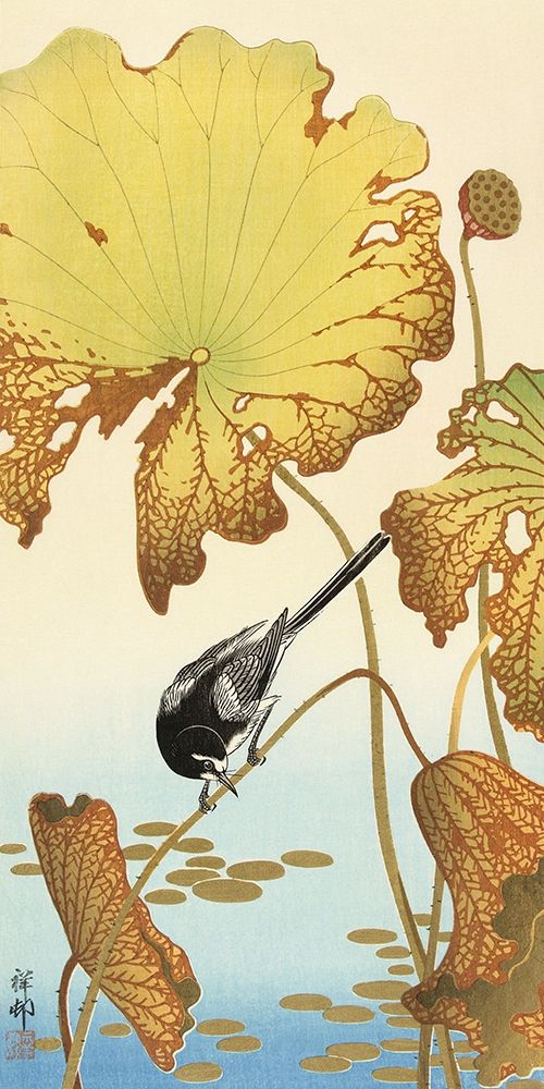 Japanese wagtail on lotus plant art print by Ohara Koson for $57.95 CAD