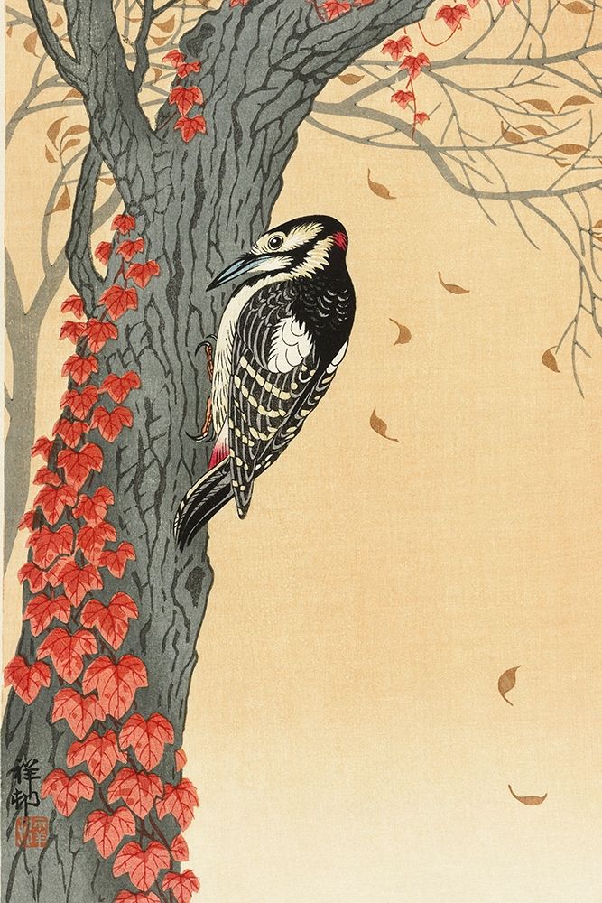 Great spotted woodpecker in tree with red ivy art print by Ohara Koson for $57.95 CAD