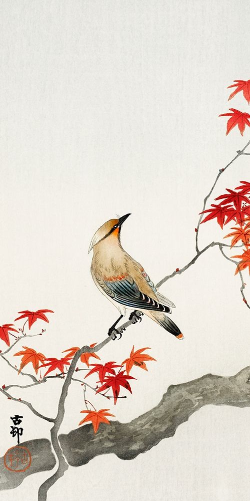 Japanese plague bird on maple art print by Ohara Koson for $57.95 CAD