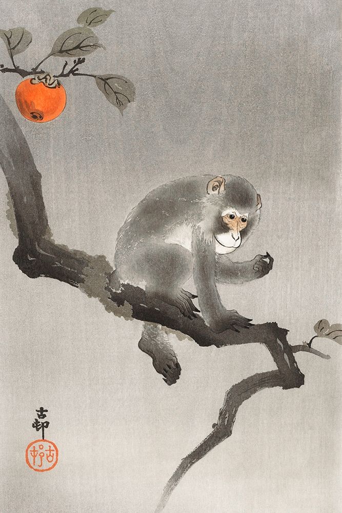 Monkey in cockatoo art print by Ohara Koson for $57.95 CAD