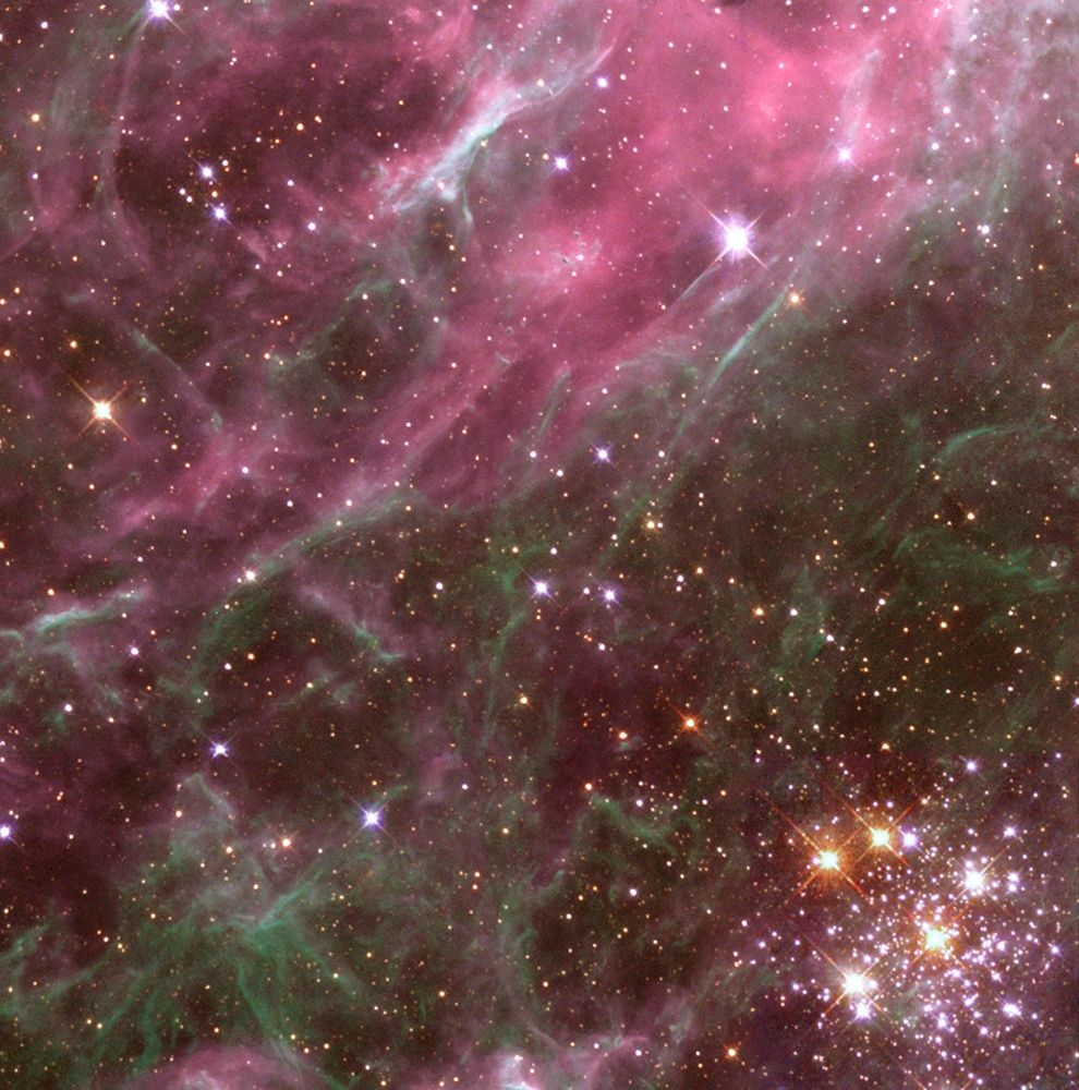 Tarantula Nebula art print by NASA for $57.95 CAD